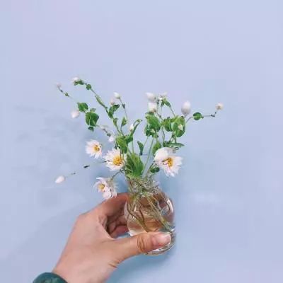 百度洛神手游下载